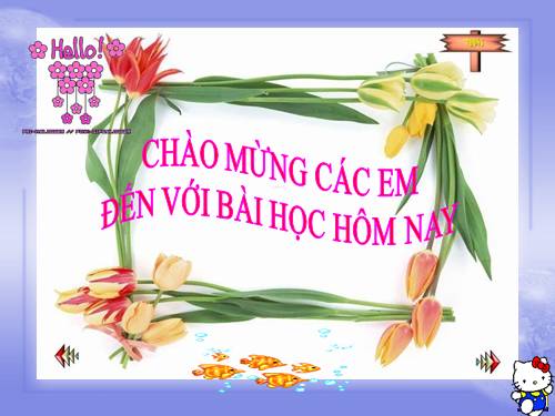 Bài 11. Khối lượng riêng - Trọng lượng riêng