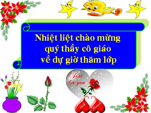 Bài 8. Trọng lực - Đơn vị lực