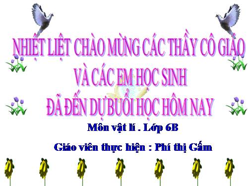 Bài 10. Lực kế - Phép đo lực - Trọng lượng và khối lượng