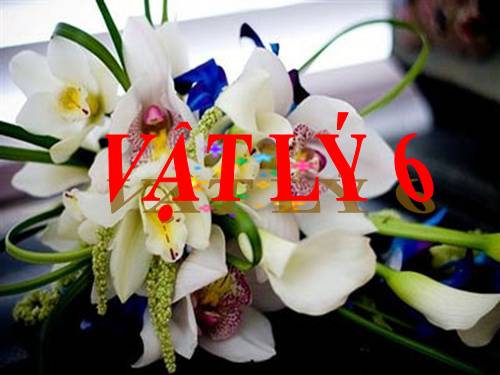 Bài 25. Sự nóng chảy và sự đông đặc (tiếp theo)