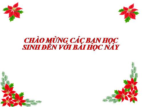 Bài 13. Máy cơ đơn giản