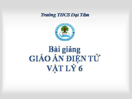 Bài 8. Trọng lực - Đơn vị lực