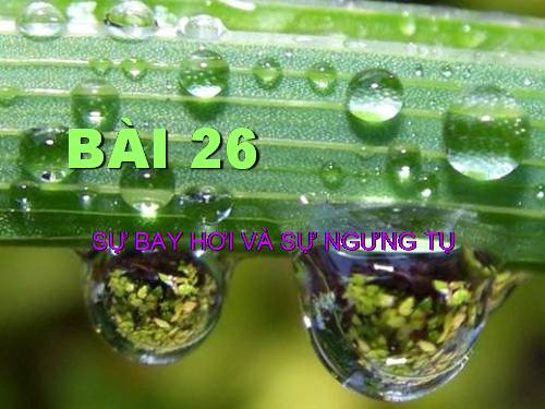 Bài 26. Sự bay hơi và sự ngưng tụ