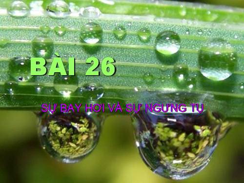 Bài 26. Sự bay hơi và sự ngưng tụ