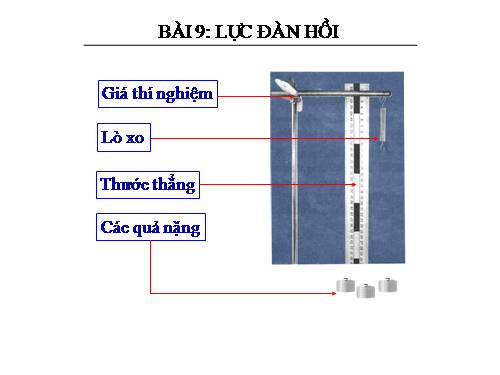 Bài 9. Lực đàn hồi