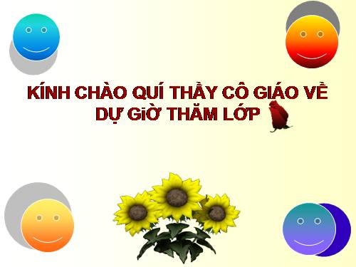 Bài 13. Máy cơ đơn giản