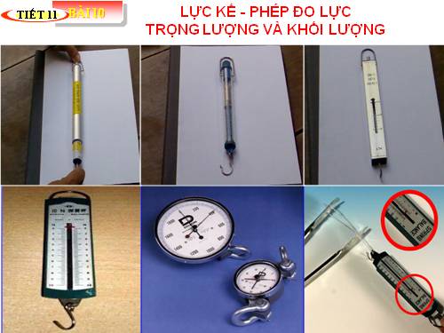 Bài 10. Lực kế - Phép đo lực - Trọng lượng và khối lượng