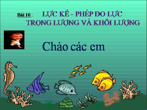 Bài 10. Lực kế - Phép đo lực - Trọng lượng và khối lượng