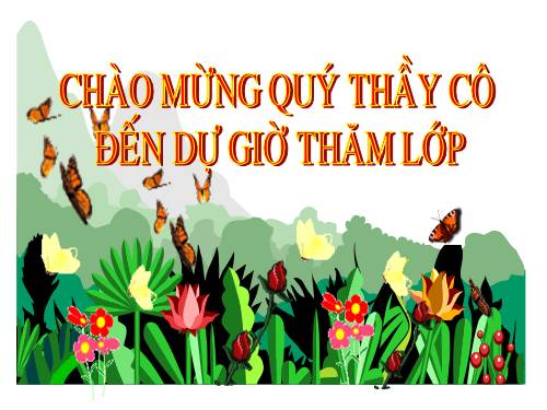 Bài 13. Máy cơ đơn giản