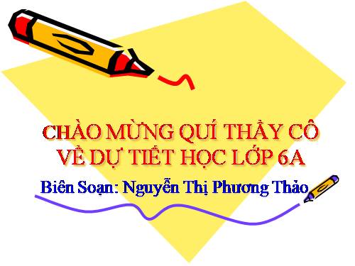 Bài 8. Trọng lực - Đơn vị lực