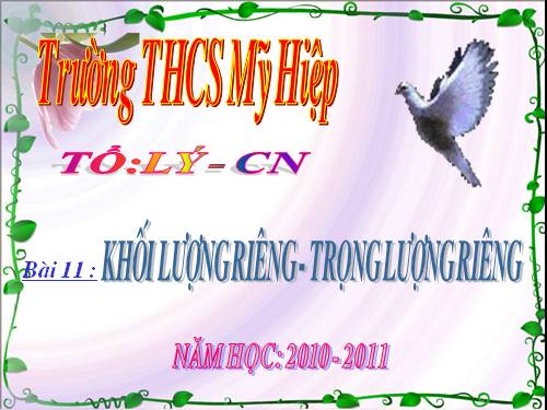 Bài 11. Khối lượng riêng - Trọng lượng riêng
