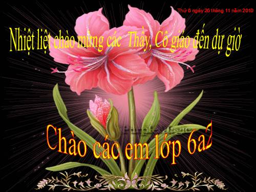 Bài 13. Máy cơ đơn giản