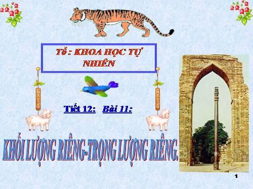 Bài 11. Khối lượng riêng - Trọng lượng riêng