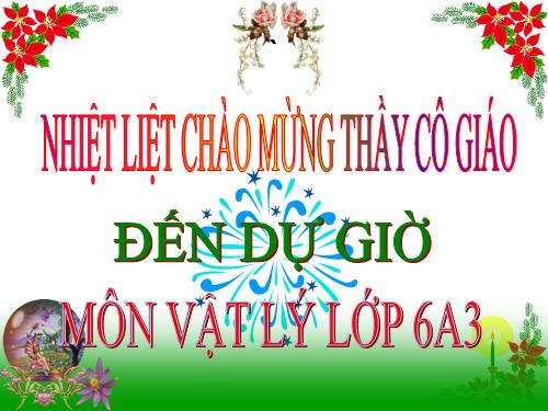 Bài 8. Trọng lực - Đơn vị lực