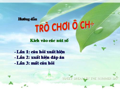 o chu luc dan hoi