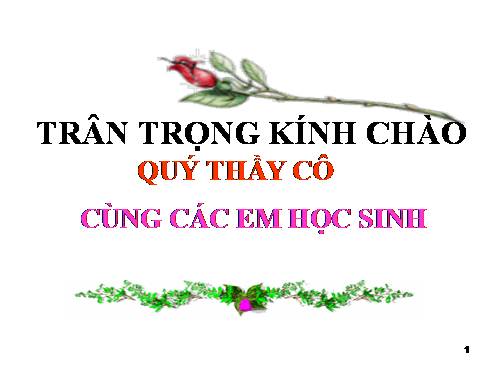 Bài 13. Máy cơ đơn giản