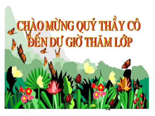 Bài 13. Máy cơ đơn giản