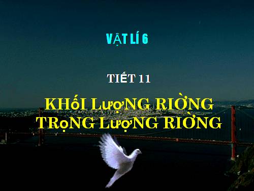 Bài 11. Khối lượng riêng - Trọng lượng riêng