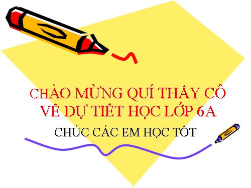 Bài 8. Trọng lực - Đơn vị lực