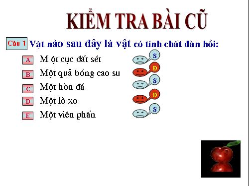 Bài 10. Lực kế - Phép đo lực - Trọng lượng và khối lượng