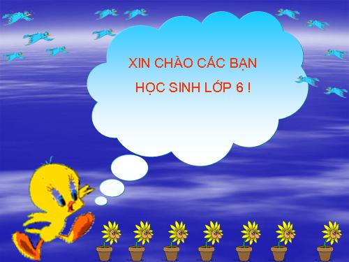 Bài 19. Sự nở vì nhiệt của chất lỏng