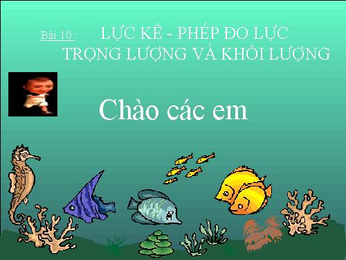 Bài 10. Lực kế - Phép đo lực - Trọng lượng và khối lượng