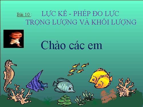 Bài 10. Lực kế - Phép đo lực - Trọng lượng và khối lượng