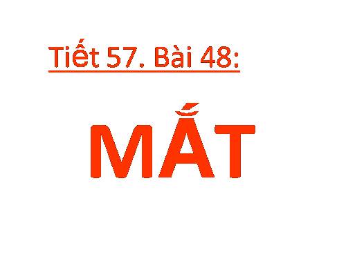 Bài 48. Mắt