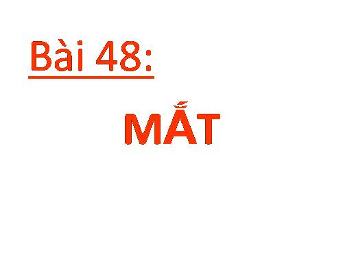 Bài 48. Mắt