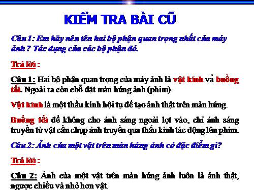 Bài 48. Mắt