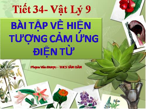 Bài 31. Hiện tượng cảm ứng điện từ