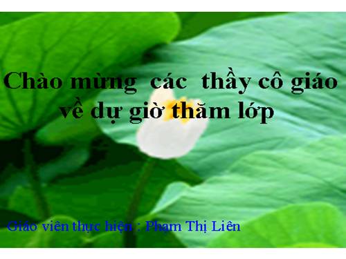 Bài 31. Hiện tượng cảm ứng điện từ