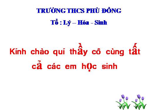 Bài 45. Ảnh của một vật tạo bởi thấu kính phân kì