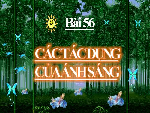 Bàl 56. Các tác dụng của ánh sáng