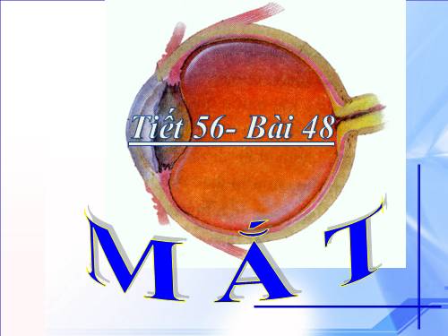 Bài 48. Mắt