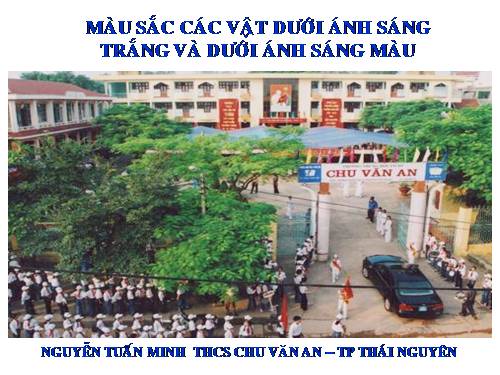 Bài 55. Màu sắc các vật dưới ánh sáng trắng và dưới ánh sáng màu