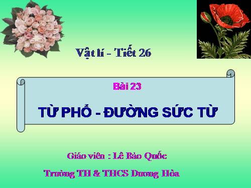 Bài 23. Từ phổ - Đường sức từ