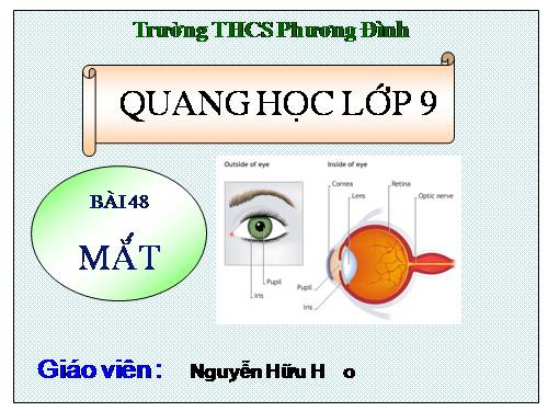 Bài 48. Mắt