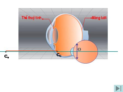 Bài 49. Mắt cận và mắt lão