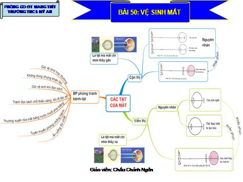 BDTD- cac tat cua mat