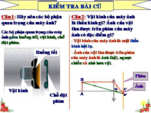 Bài 48. Mắt