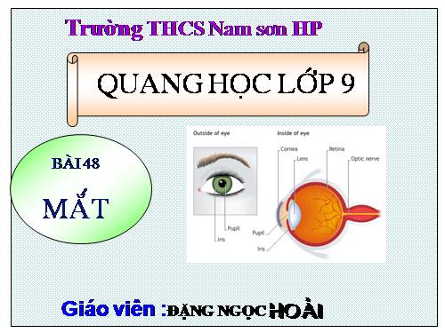 Bài 48. Mắt