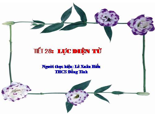 Bài 27. Lực điện từ