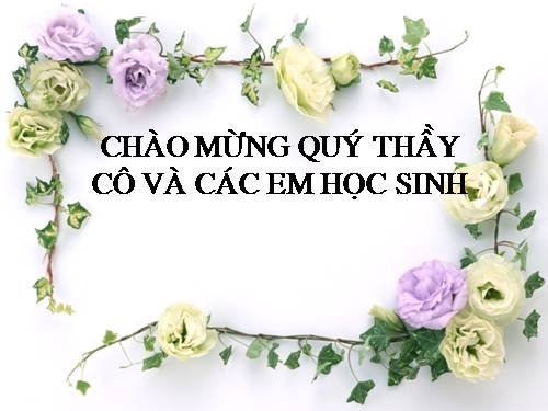 Bài 22. Tác dụng từ của dòng điện - Từ trường