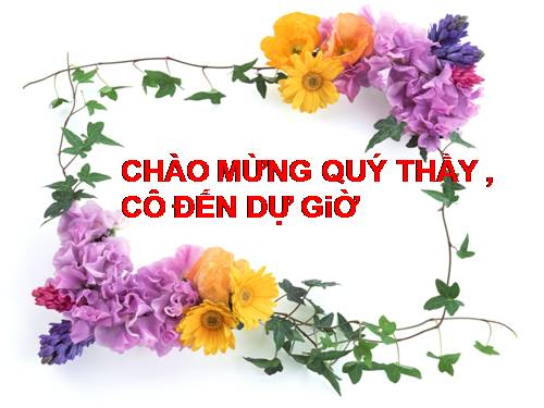 Bài 51. Bài tập quang hình học