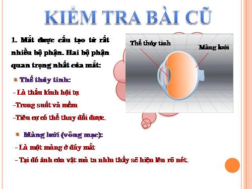 Bài 49. Mắt cận và mắt lão