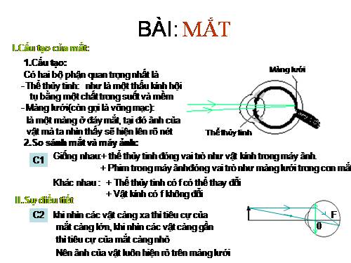 Bài 48. Mắt