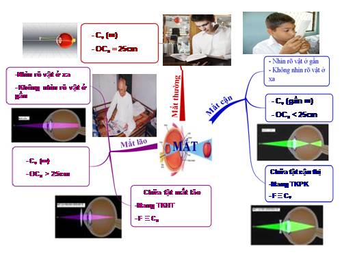 Bản đồ tư duy bài Mắt