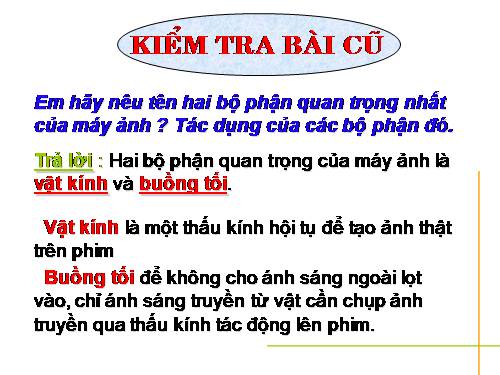 Bài 48. Mắt