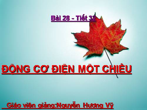 Bài 28. Động cơ điện một chiều